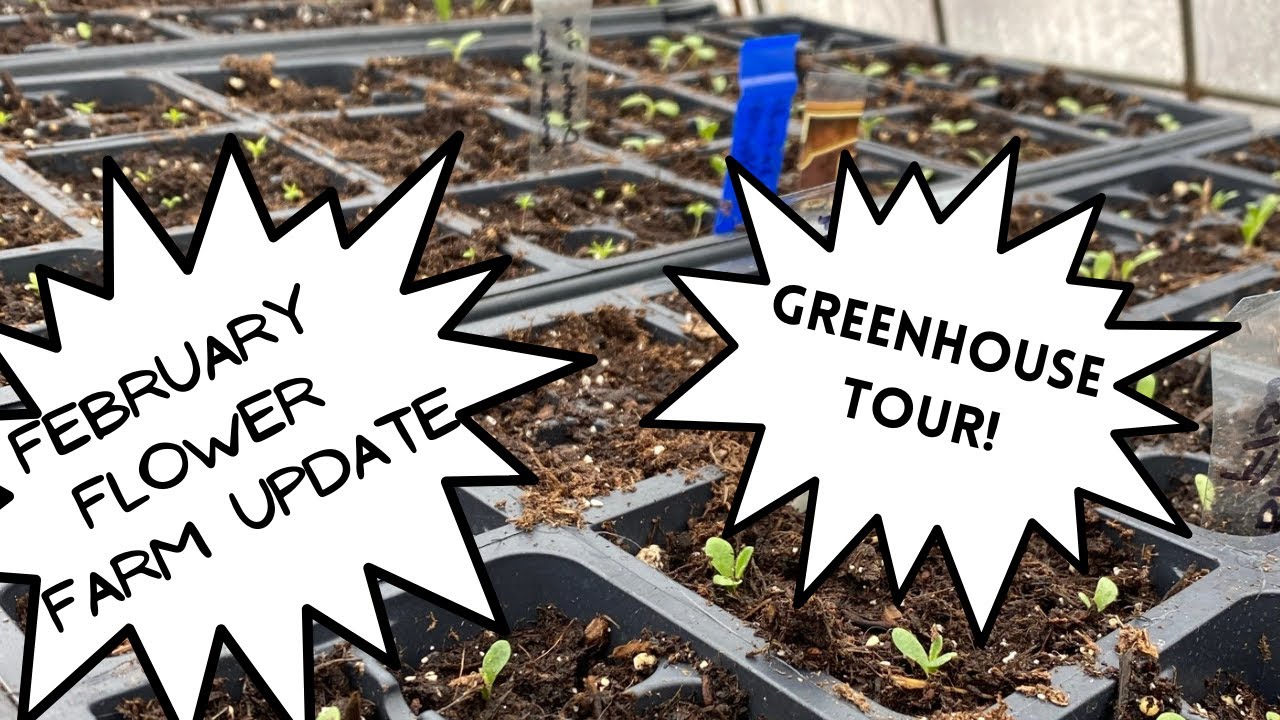 Flower Farm in February! What are we starting in the Greenhouses?