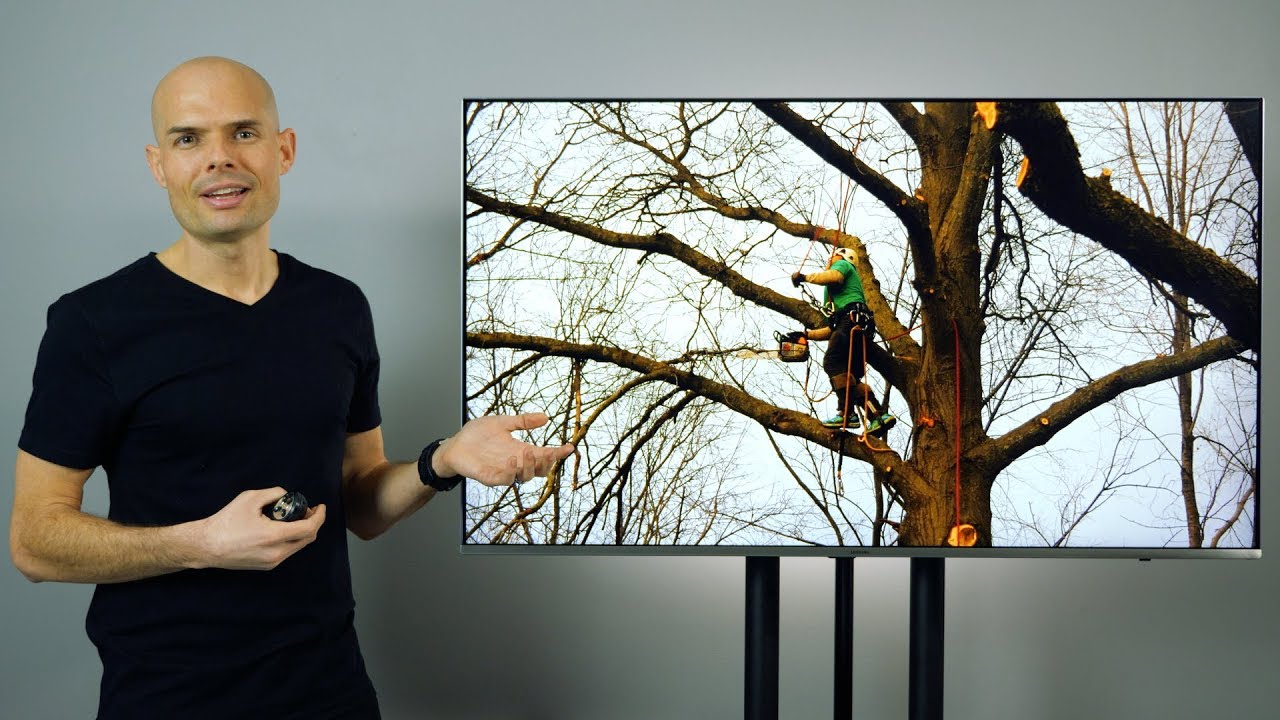 Shalom In Our Trees | Teaching Series | EP003