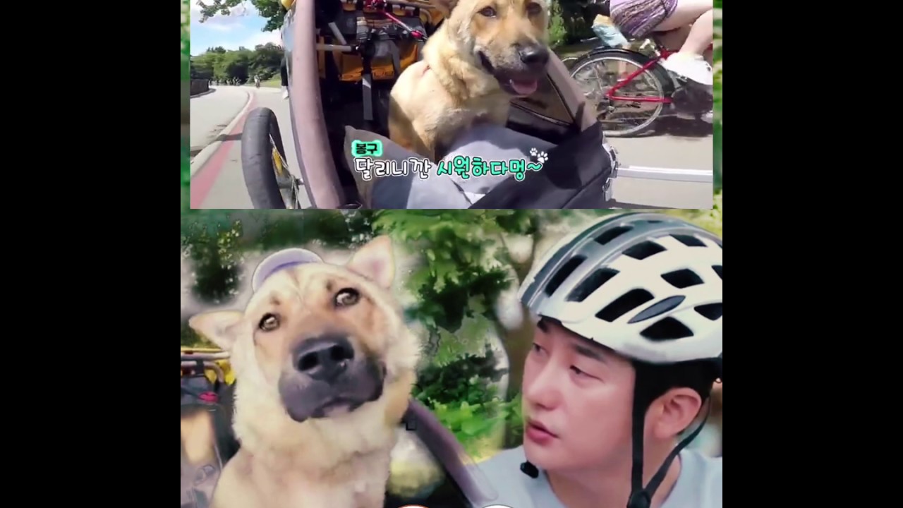 Park Sihoo Amazing Journey with Pets: I want to ride my bicycle, 29 Sep 2019