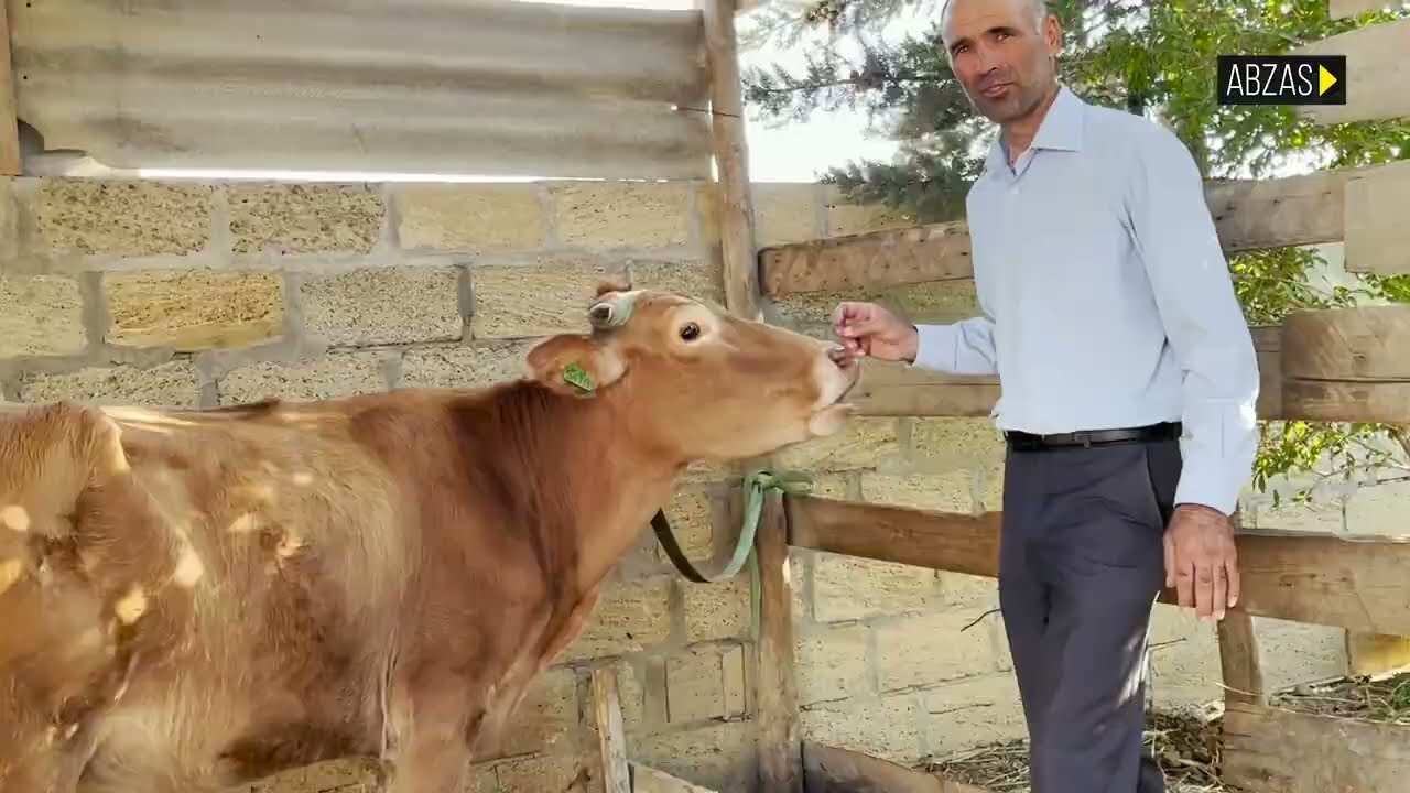 Özünüməşğulluq proqramına qoşulan vətəndaş xeyir yox, ziyan gördüyünü deyir