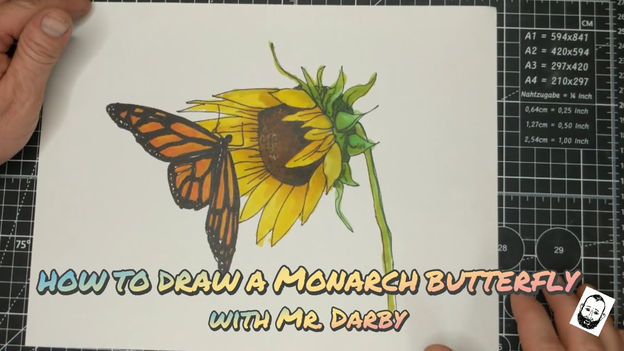 Draw a Monarch Butterfly
