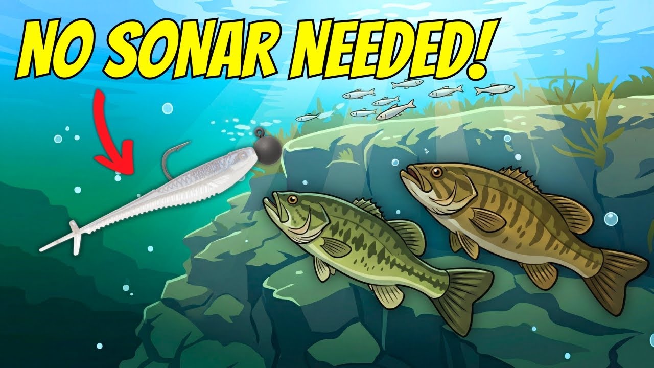 Для ловли на джиг-головку Minnow вам НЕ НУЖНО FFS!