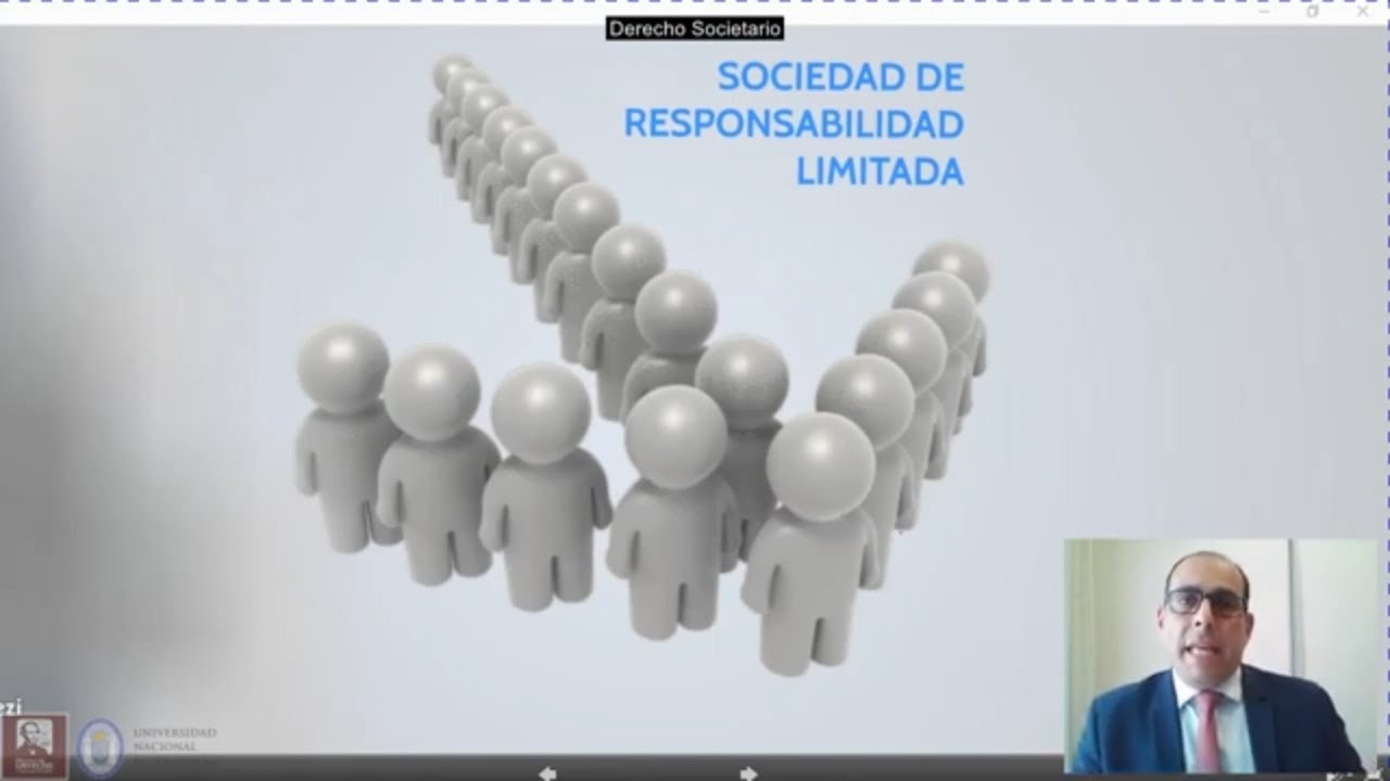 S R L  Organos de administración, de gobierno y de fiscalización