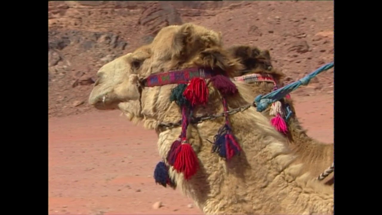 The Sound of Jordan Petra by Red Buddha