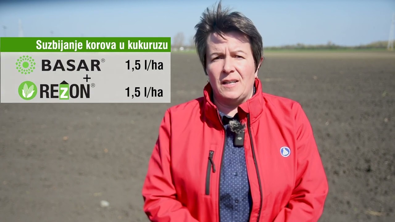 SUZBIJANJE KOROVA u ranim fazama razvoja KUKURUZA i SUNCOKRETA