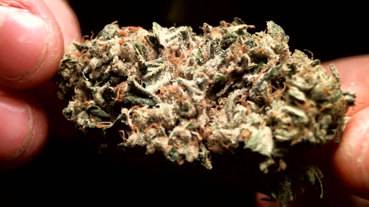Kosher Kush and Skunk Haze Bong Tokes