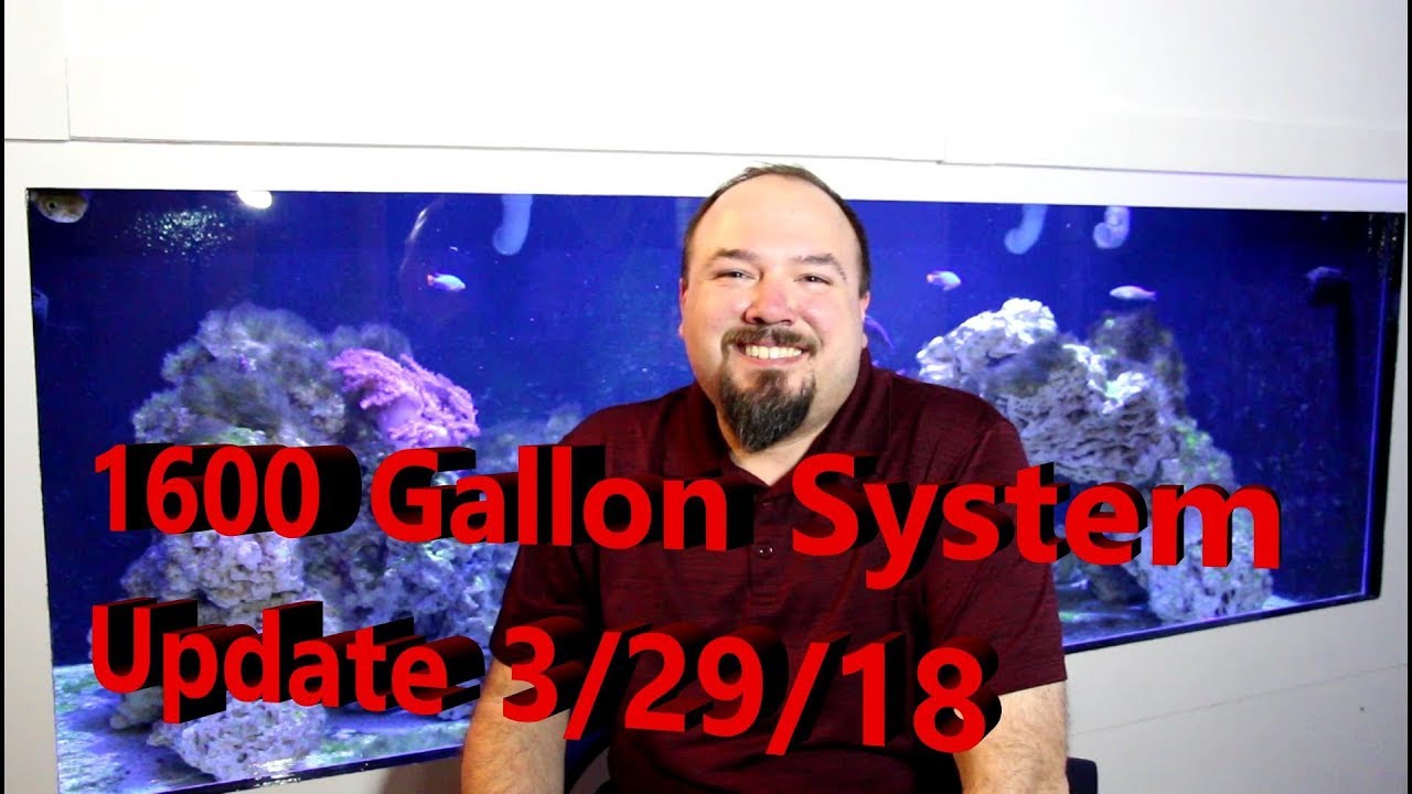 1600 Gallon System Update 3/29/18