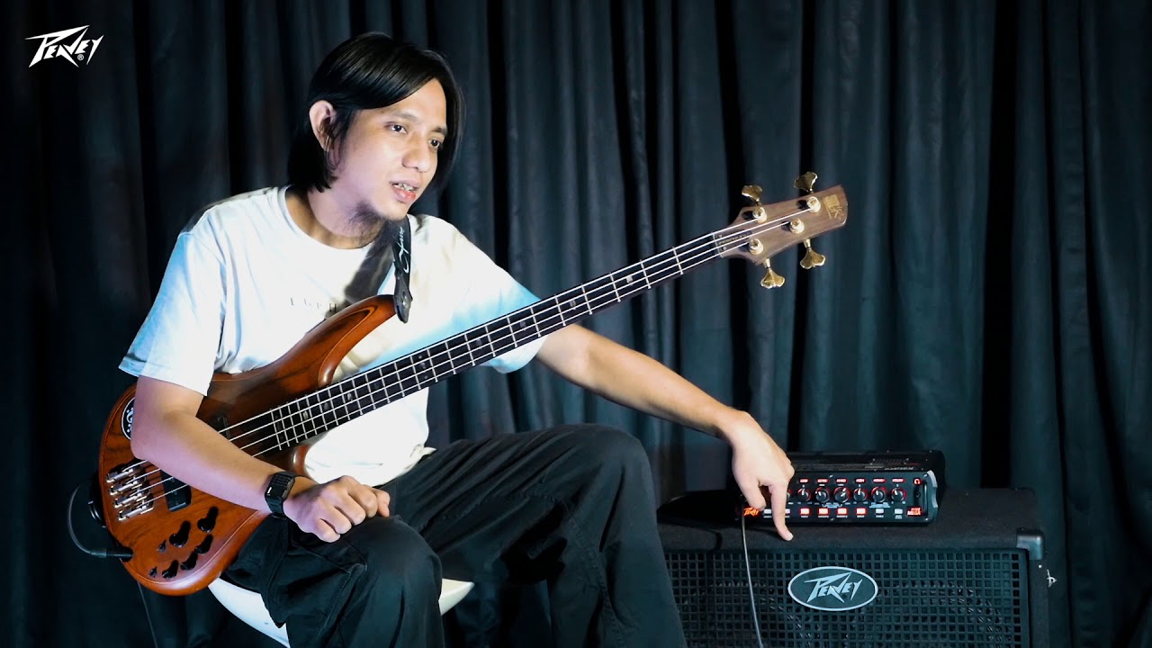 Review Peavey MiniMEGA by Alan Musyfia 
