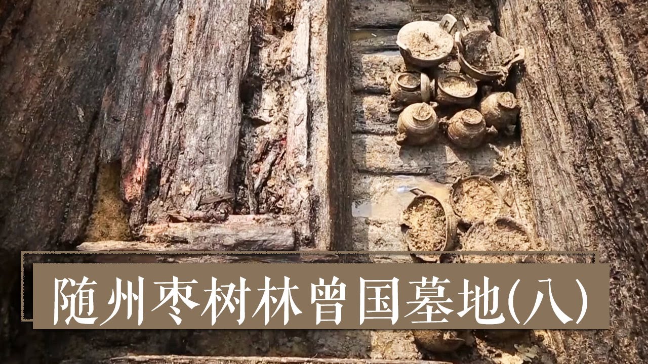 一椁重棺的曾侯级别墓葬究竟埋着谁？ 《2020考古进行时》第一季 随州枣树林曾国墓地（八）| 中华国宝
