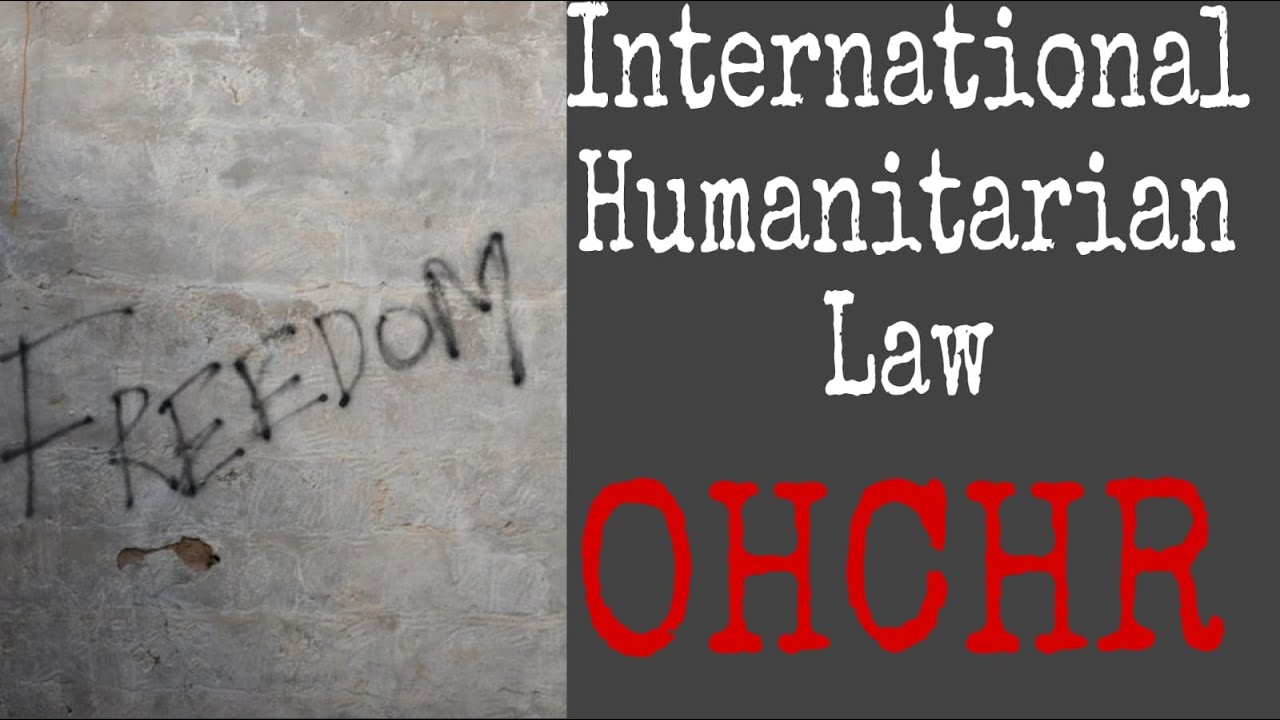 OHCHR: The UN Body Fighting for YOUR Rights | Explained