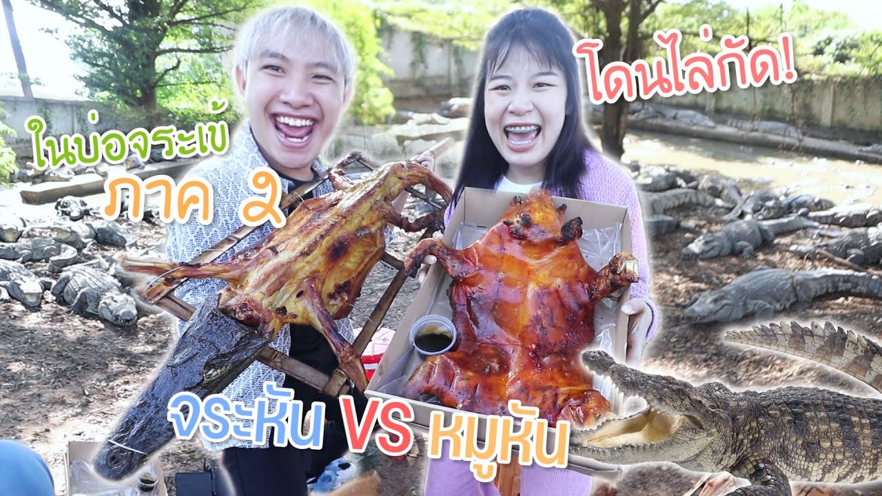 จระเข้หัน VS หมูหัน ในบ่อจระเข้ พลาดของจริง อันตราย!! นัท&ดาว
