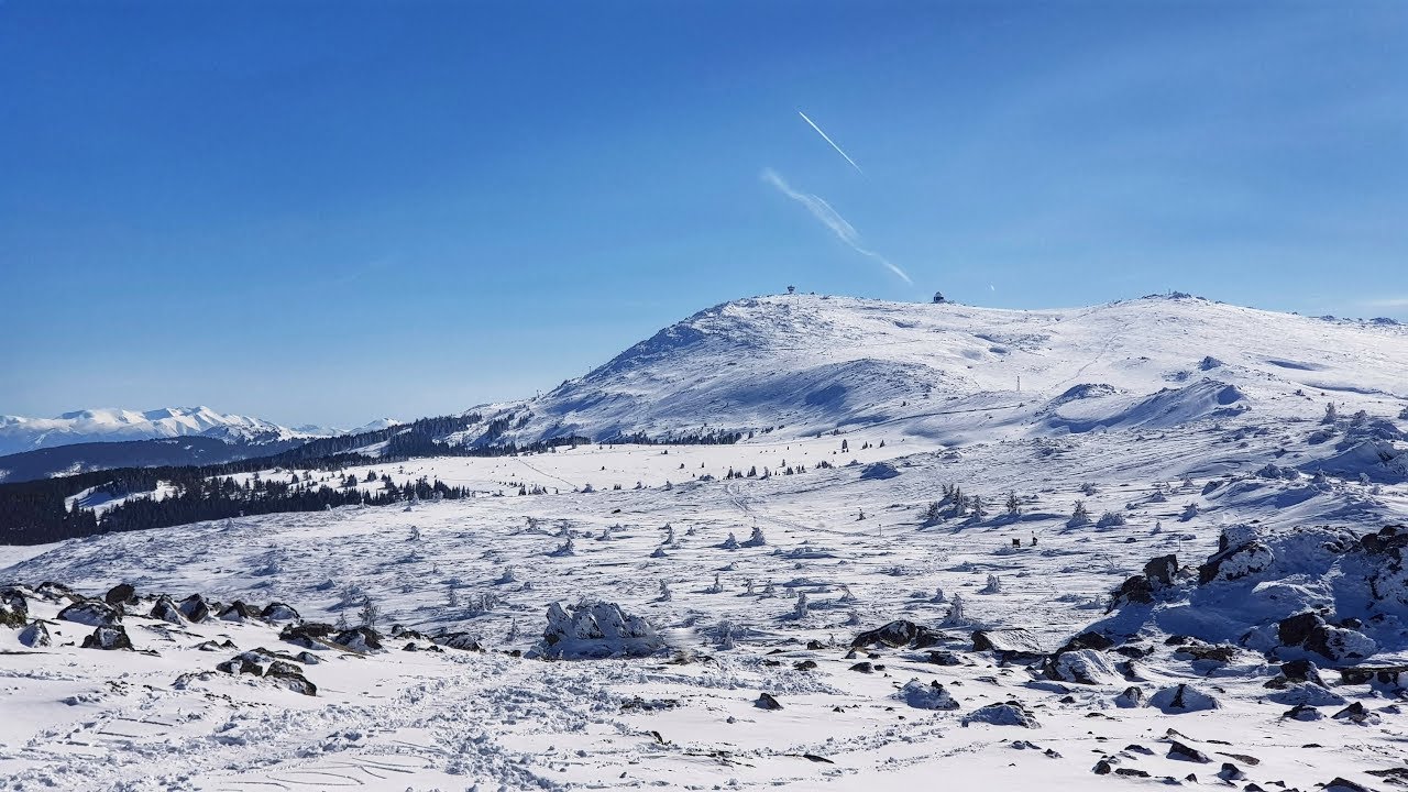 Best Sledge Ride - Vitosha, Bulagria