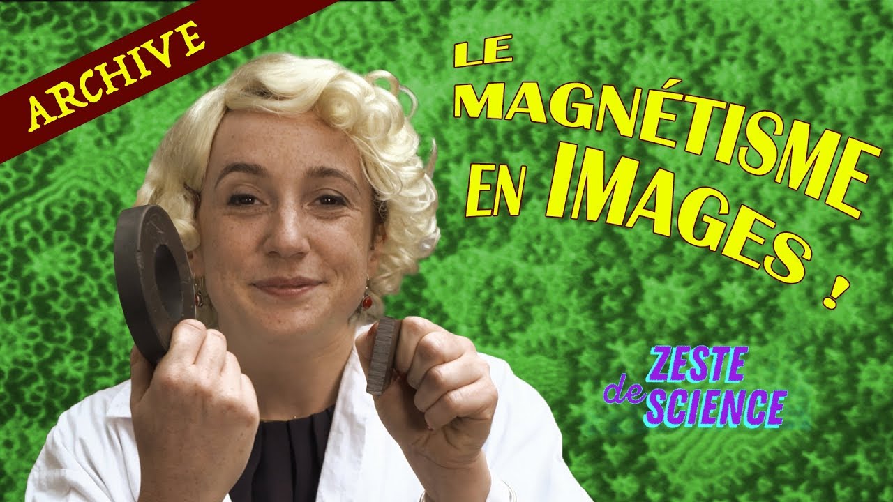 Voir le magnétisme ? - ZdS#19 - Archive