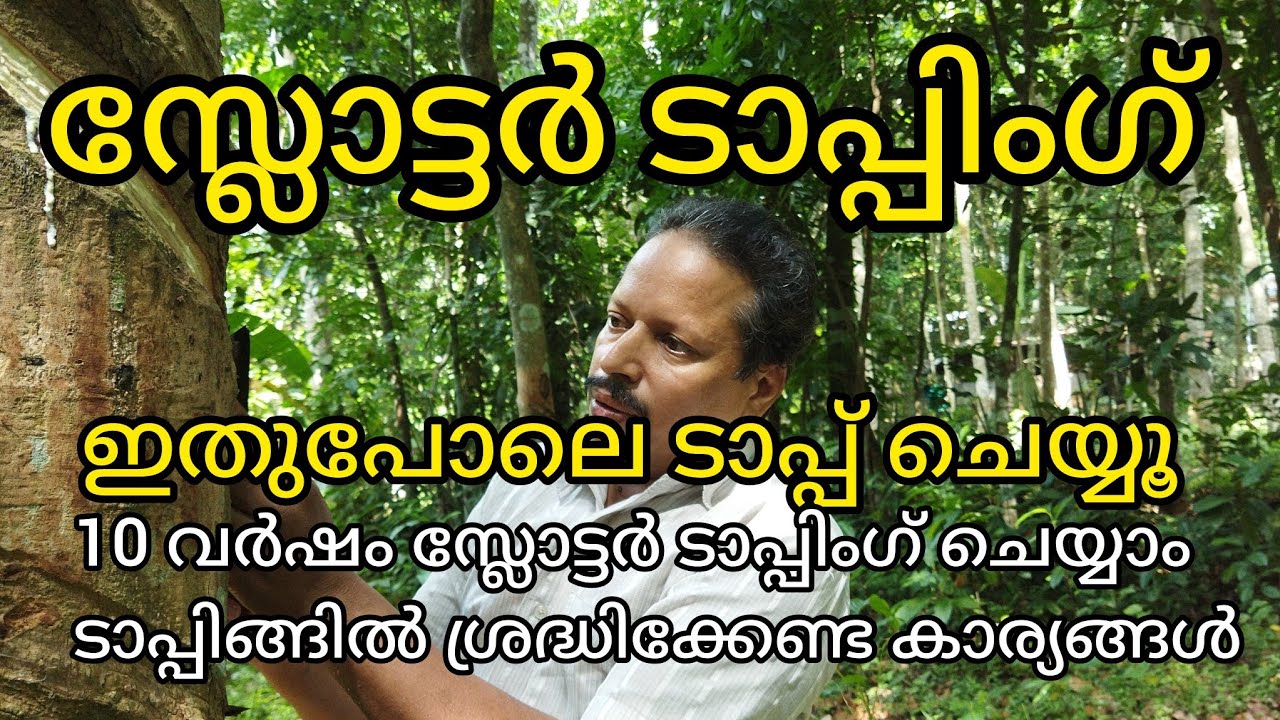 കമഴ്ത്തി വെട്ട്  Slaughter Tapping