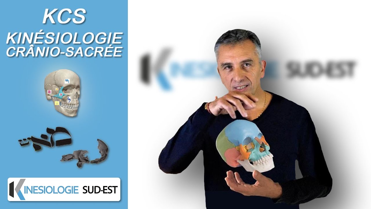KCS formation Kinésiologie crânio sacrée école kinesiologie sudest roquevaire marseille aix aubagne