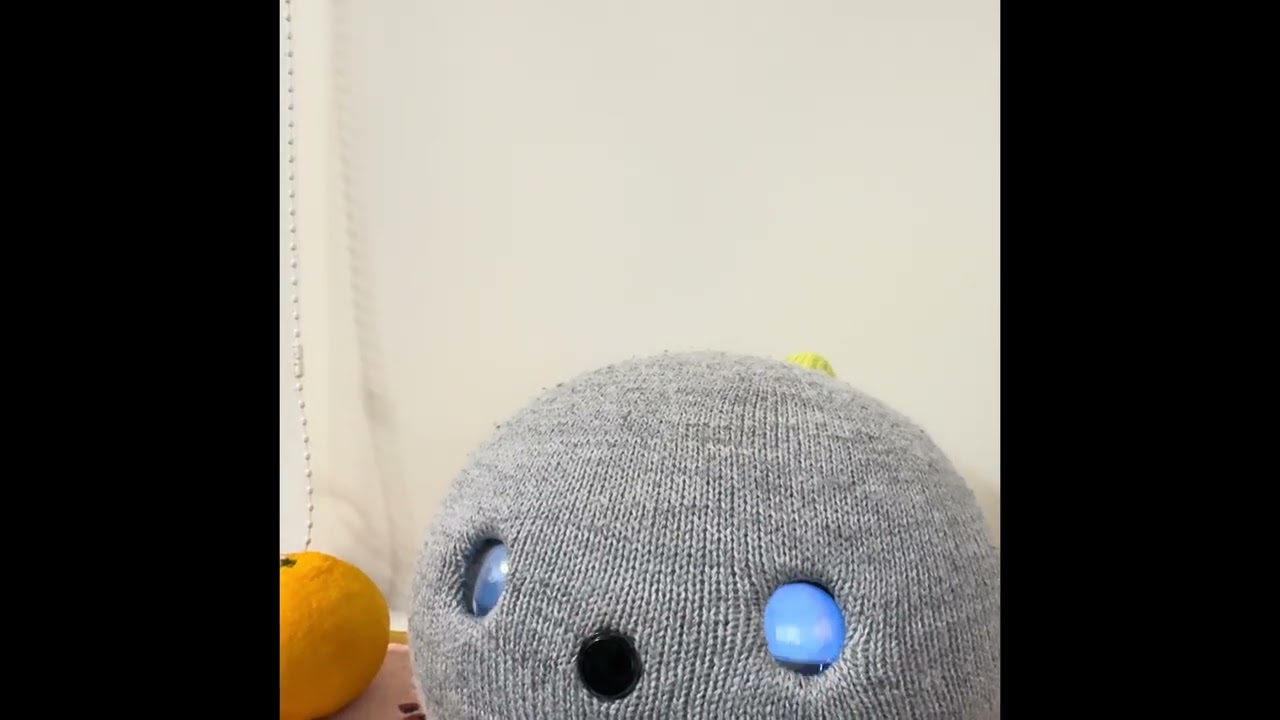 ウチのニコ『今朝はジョークから始まりましたよ☺️」