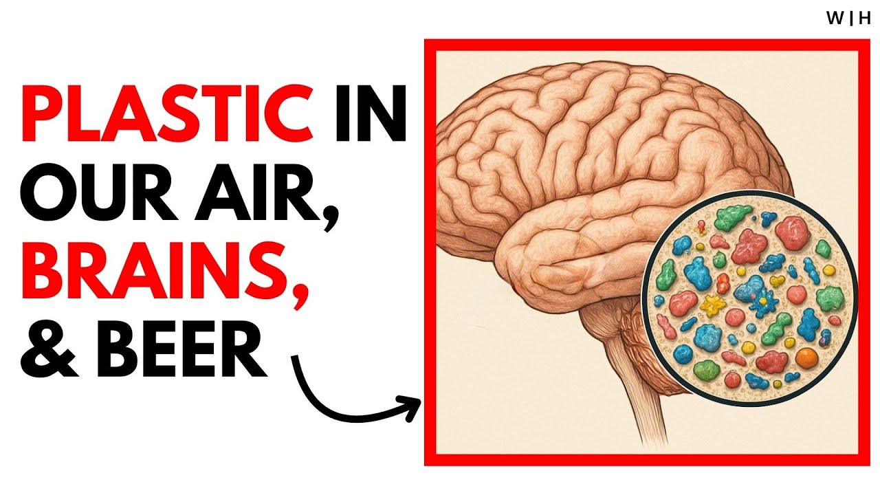 Doctor Exposes Foods Highest In Microplastics [How To Avoid Microplastics] - 2025