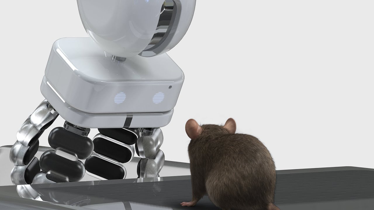 HLPER : Lab Animal welfare and efficiency solution