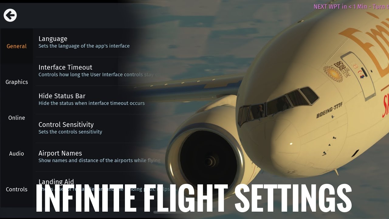 How do I play so SMOOTHLY, My best Infinite Flight Settings (IOS) Tutorial