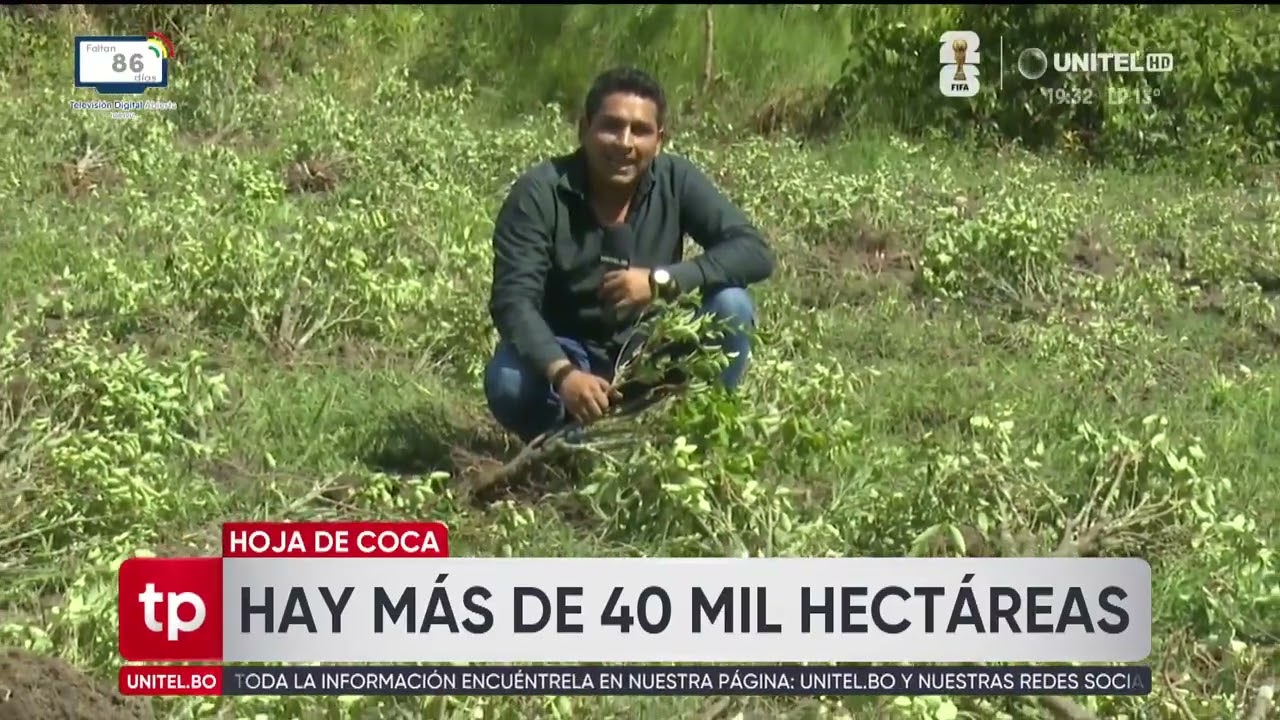Impulsan control de plantaciones de coca en el trópico de Cochabamba