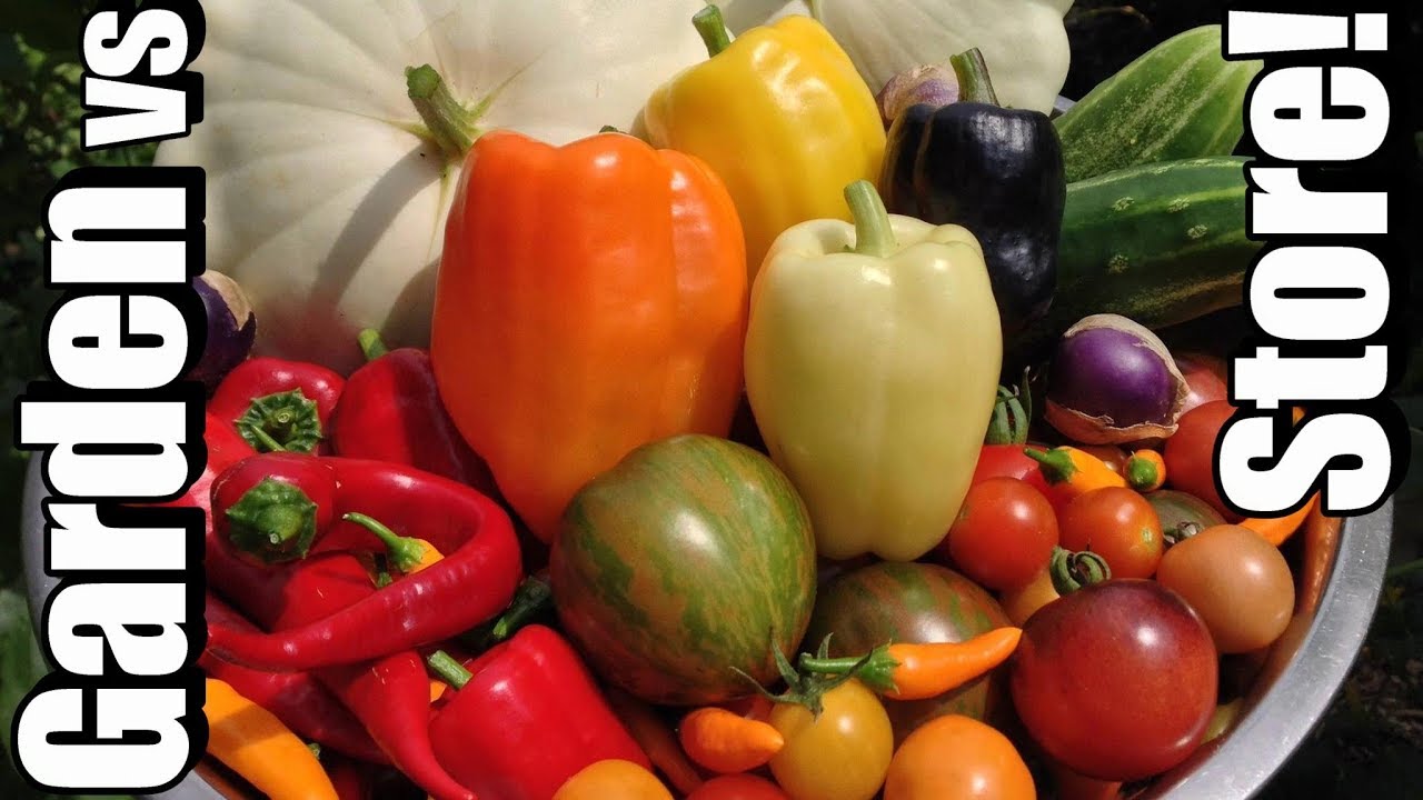 Plant Produce from Garden vs Store, Summer Edition