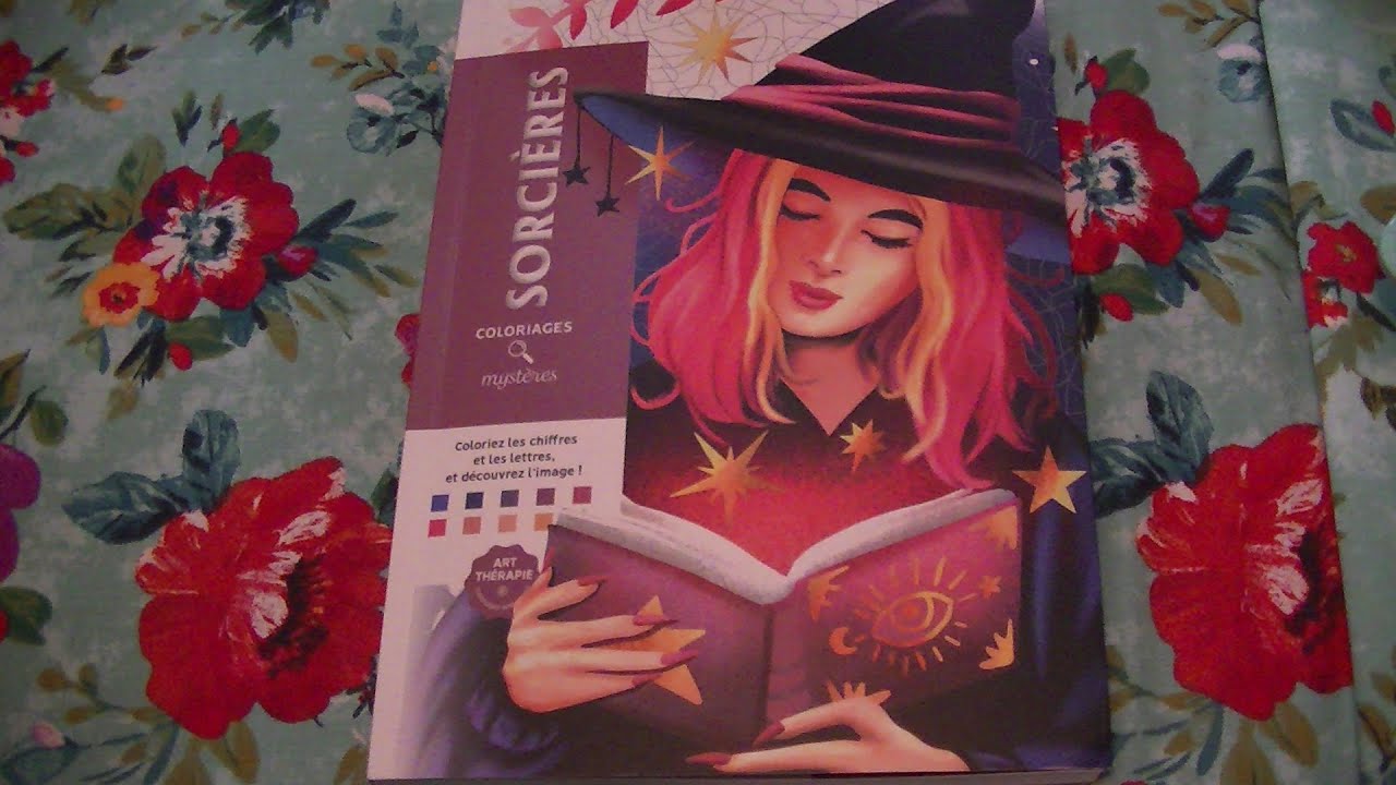 Hachette Coloriages Mysteres Sorcieres with Solutions!! Color By Number