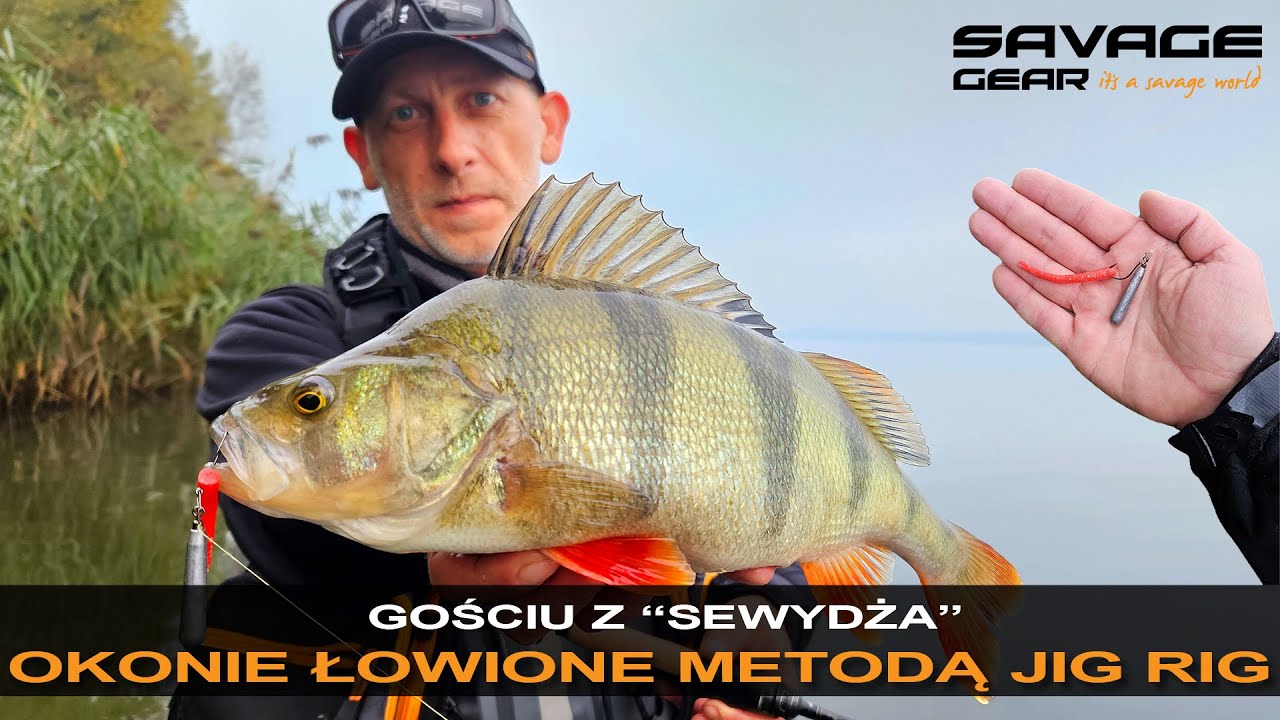 🔥💪 GOŚCIU Z 