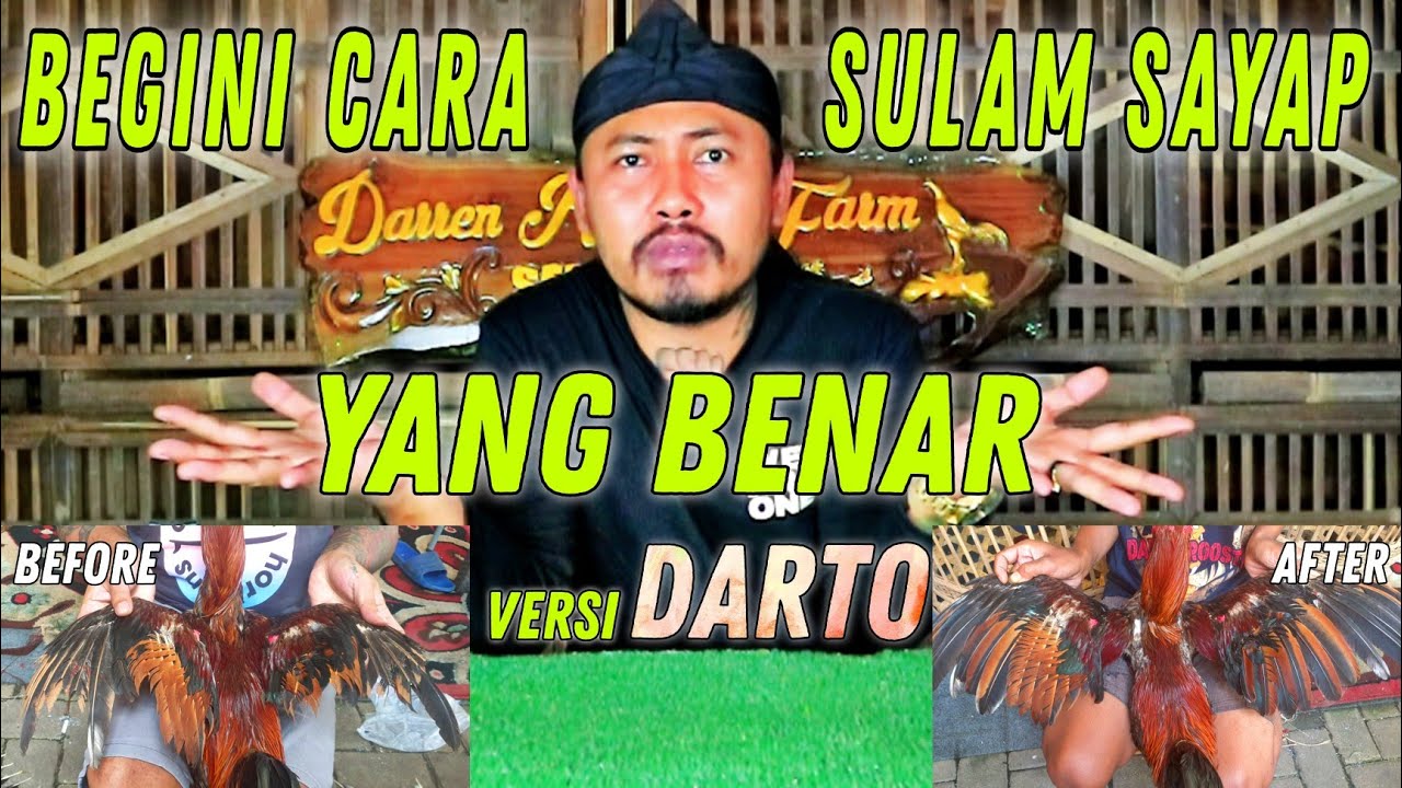 CARA SULAM SAYAP DENGAN BENAR