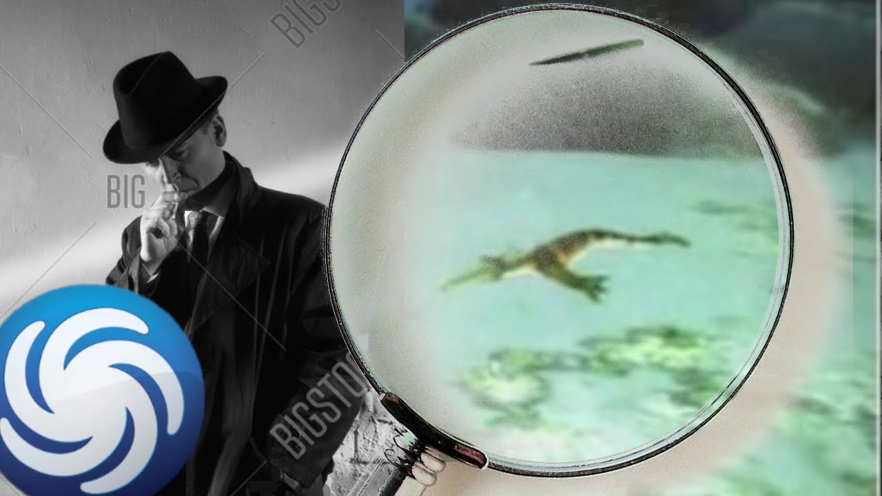 Spore Video: Who Killed the Aquatic Stage?