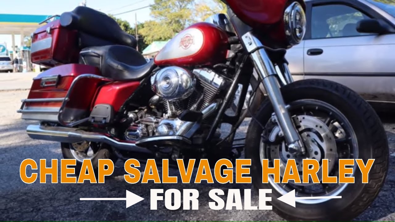 Cheap Salvage Harley ll How to Own a Cheap Harley ll Budget Rebuilds