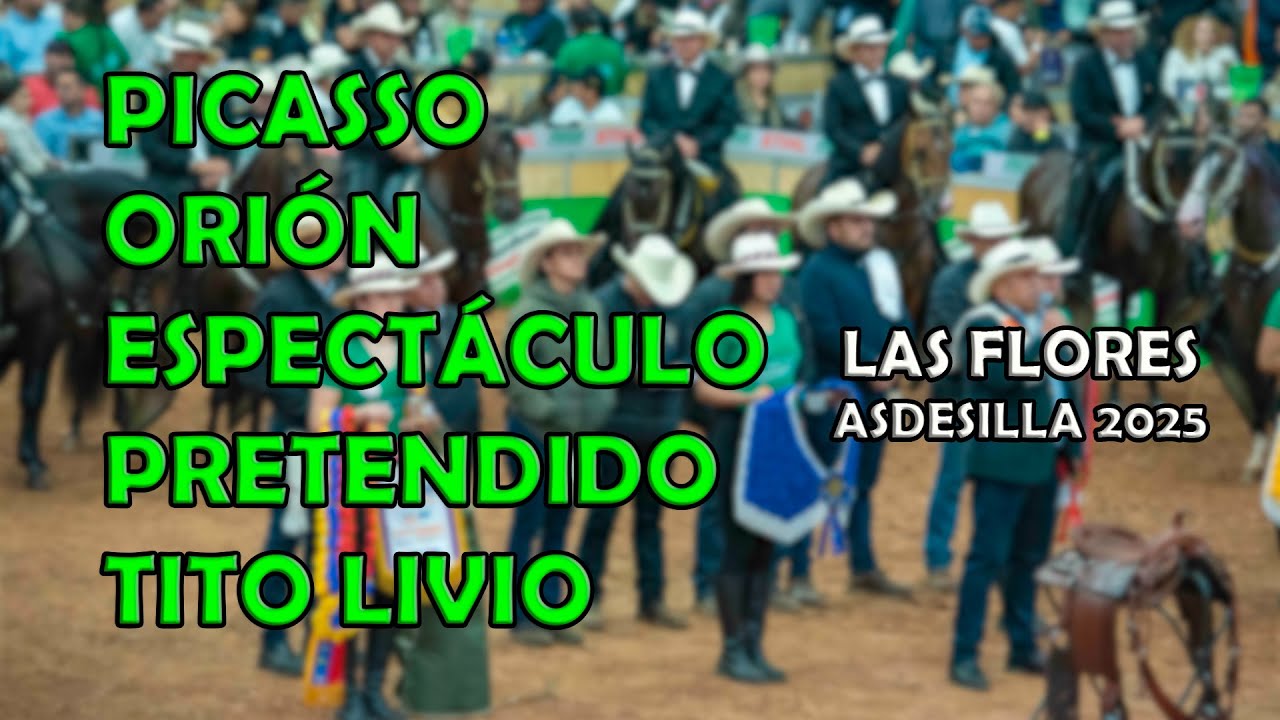 PICASSO ORIÓN PRETENDIDO  ESPECTACULO TITO LIVIO #pasofino #horse #stallions #pasofinohorse