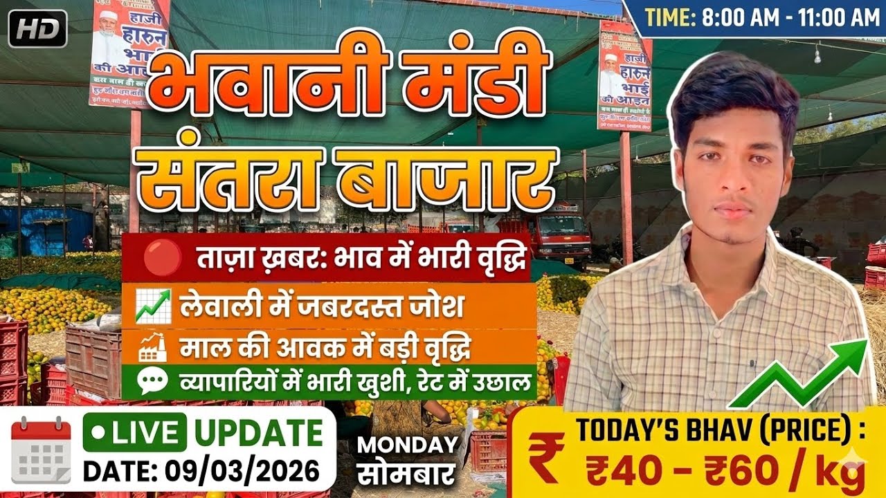 09/03/2026 Aaj Ka Santra Bhav: Bhawani Mandi Me Mal Ki Bhaari Aawak aur Rate 60₹ Paar! #santra 