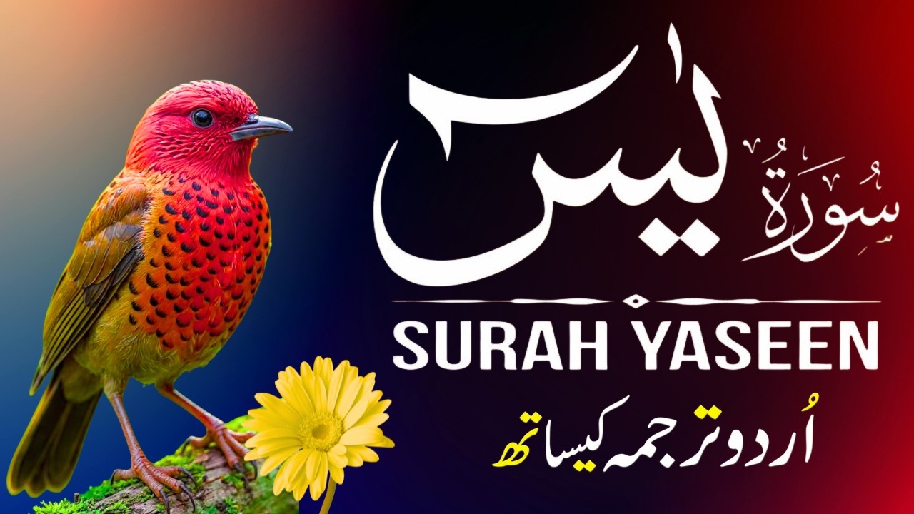 Surah Yaseen | Surah Yaseen With Urdu Translation | Al Furqan Studio | Ep107