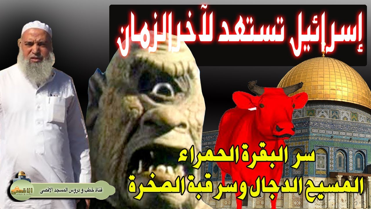 الشيخ خالد المغربي | اسرائيل تفكك قبة الصخرة سر البقرة الحمراء الماعز الأليف والمسيح الدجال