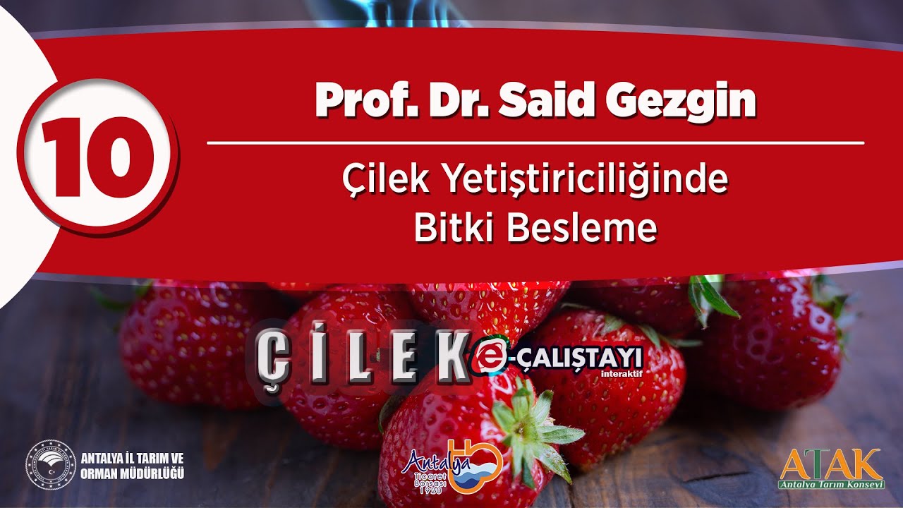 10 Çilek E-Çalıştayı - Çilek Yetiştiriciliğinde Bitki Besleme