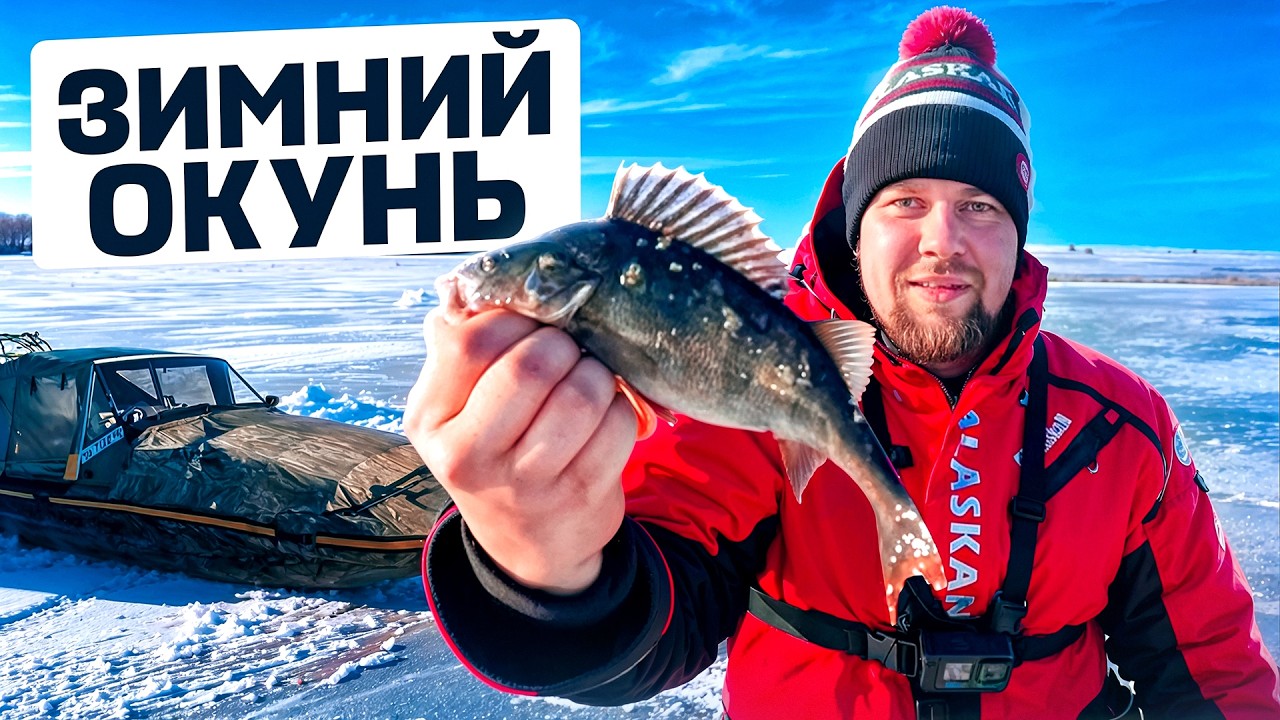 Окунь зимой — это азарт! Ловим, ошибаемся, учимся и радуемся рыбе.
