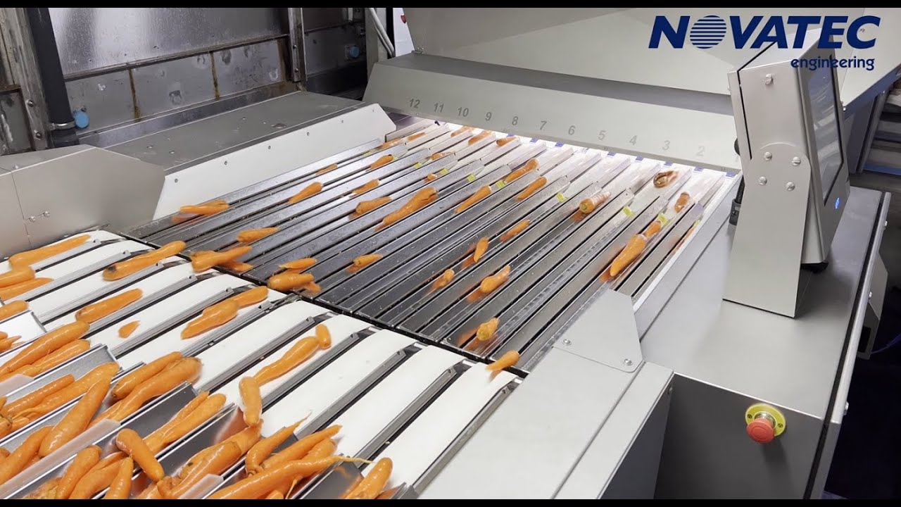 Novatec S.A. - Electronic Sorting Machine For Carrots