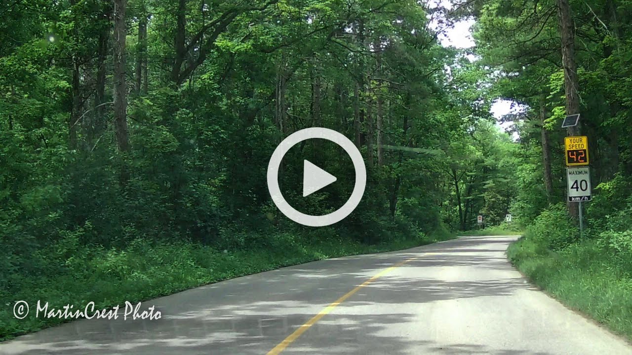 220608 Pinery Provincial Park Drive-Through (w captions)