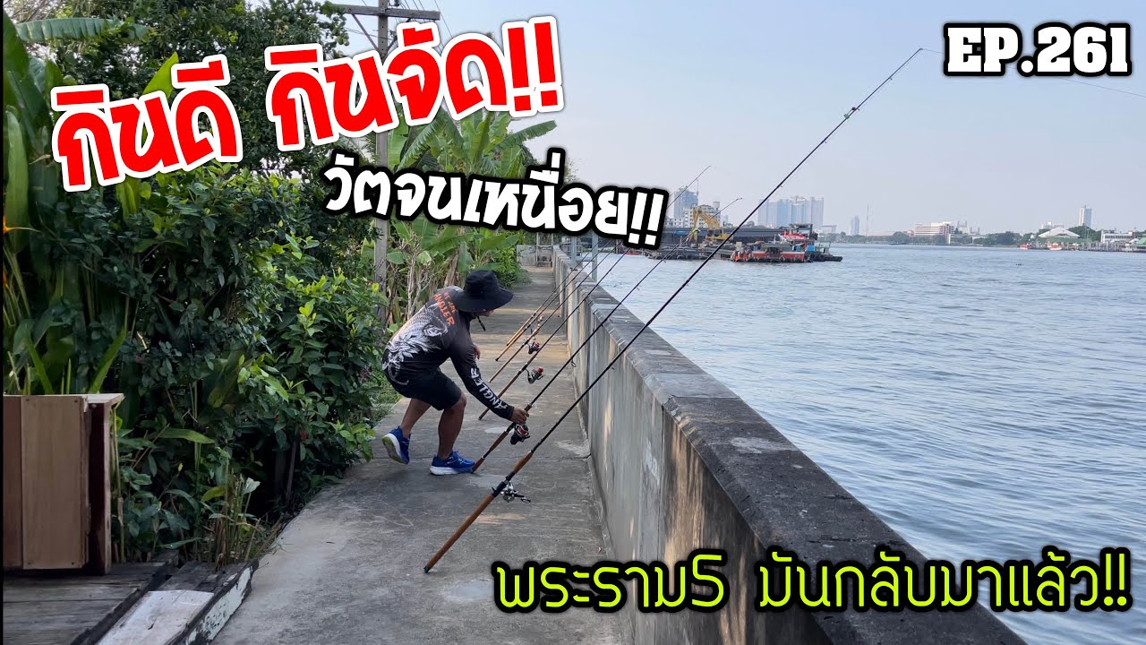 🎣🐠We are Angler EP:261“เหยื่อสูตรถล่มยับ กินดี กินจัด หมายราม5 ปลากลับมาแล้ว!!”|ตกปลาแม่น้ำ