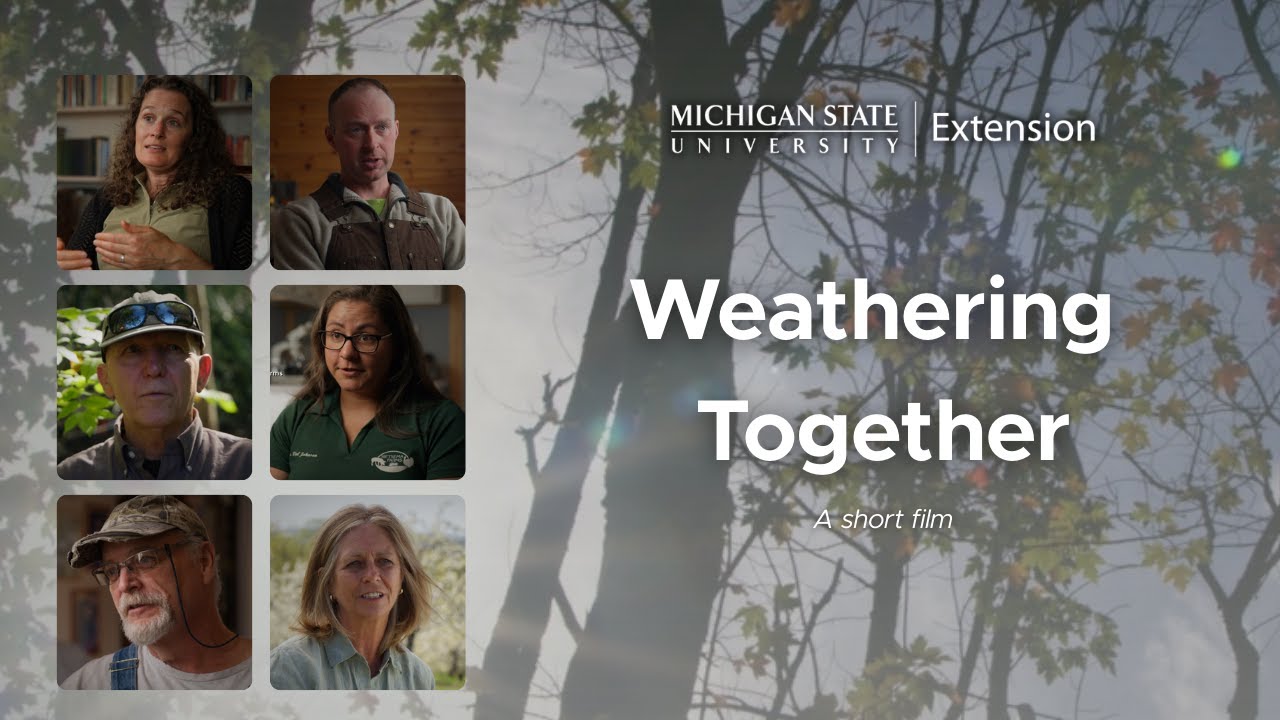 MSU Extension We're 'Weathering Together'