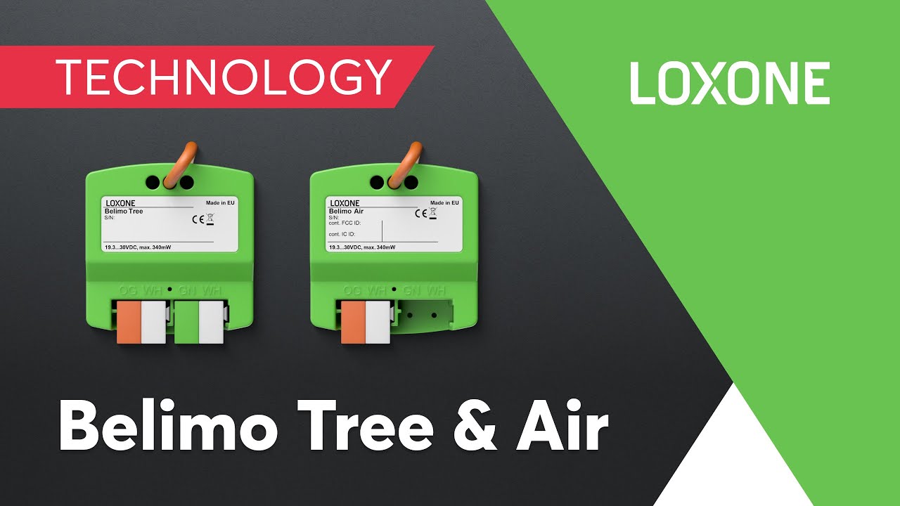 New: Belimo Tree & Air I 2022 I 4K