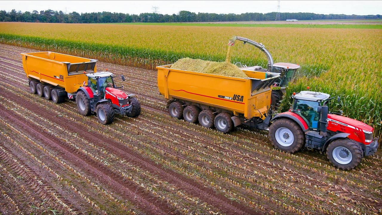 Mais 2021 : Biggest Push off silage trailer in the world!! 75m3 / USA Equipment CF2500 / Jaguar 990