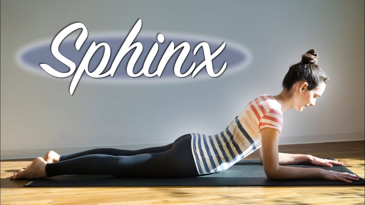SPHINX POSE | 1 minute yoga asana f&uuml;r ANF&Auml;NGER