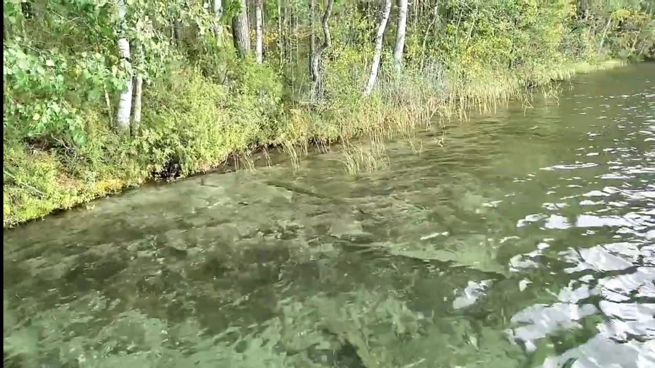 Kirkasvetisin näkemäni järvi Valkiajärvi Kitee