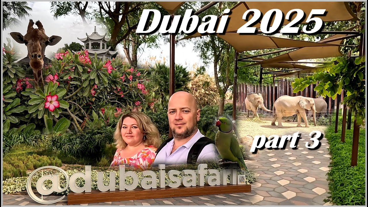 DUBAI 2025 / Сафари-Парк и его обитатели