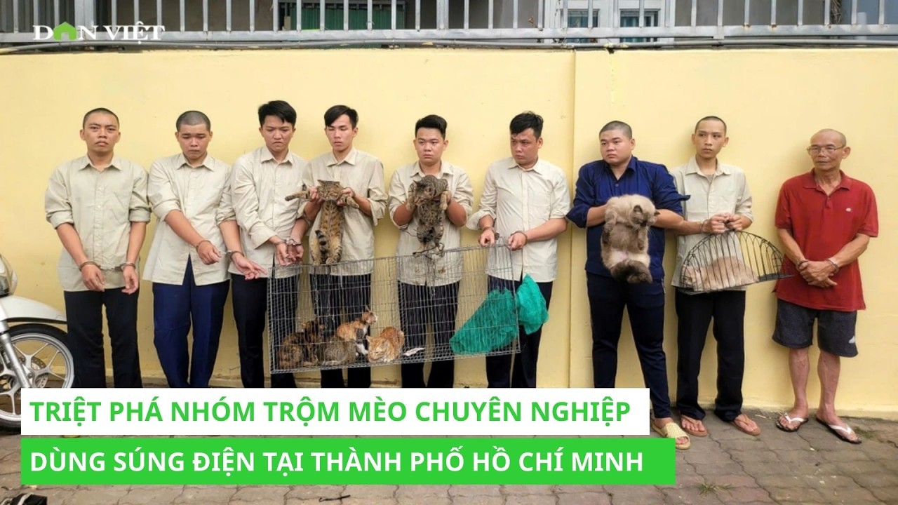 Triệt phá nhóm trộm mèo chuyên nghiệp dùng súng điện tại thành phố Hồ Chí Minh