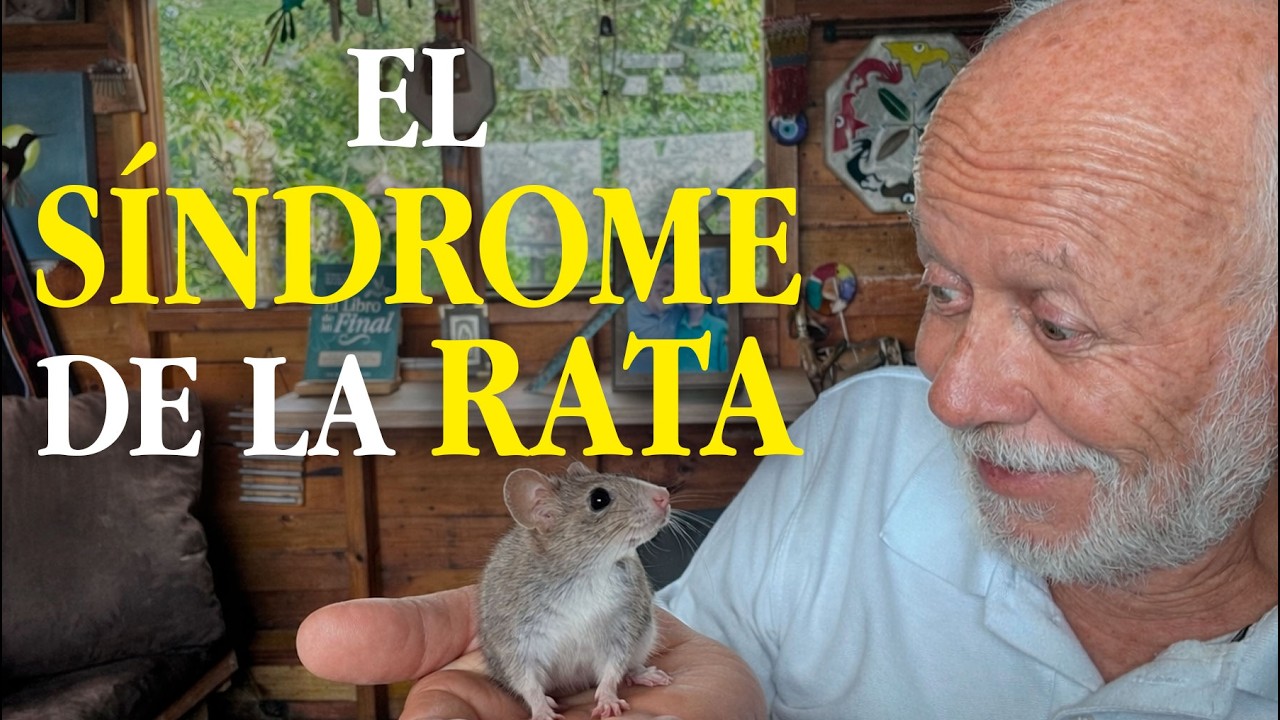 El síndrome de la rata: cuando el dinero te aleja de tu esencia