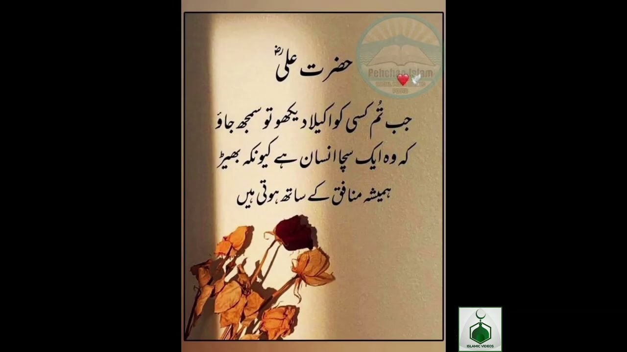 hazmat Ali Islamic quotes #islamicvideo #quotes #islamicquotes