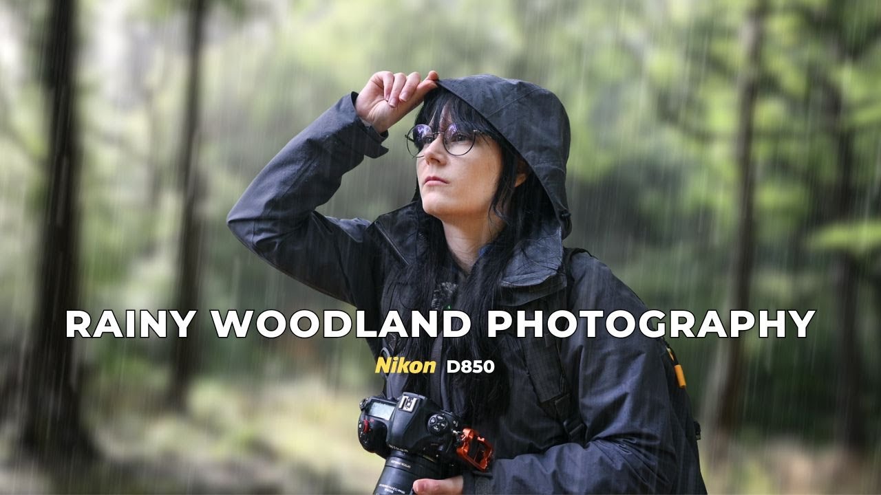 When Rain Changes Plans: Macro in the Woods