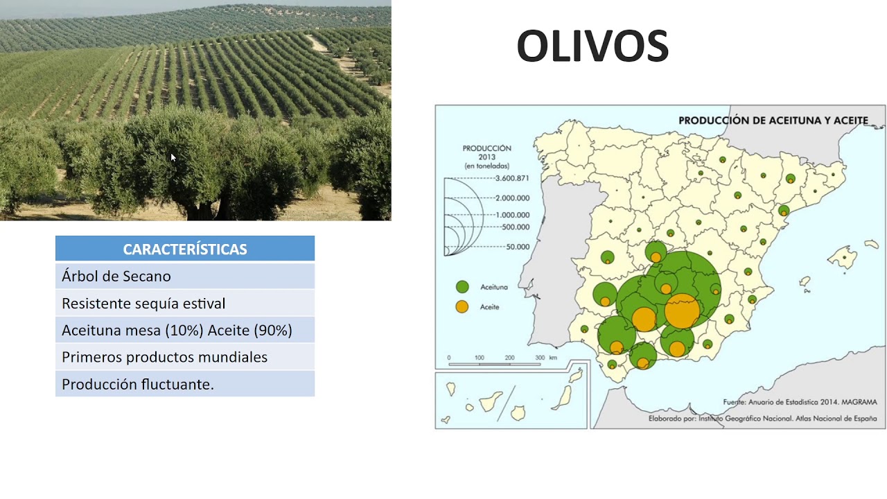 Unidad 5. El Sector Primario. Sesión 4. Principales cultivos península Ibérica.